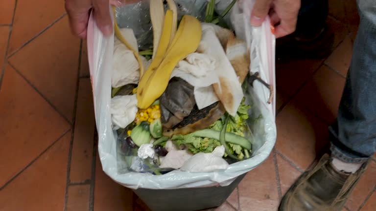 Professional Junk Removal Services in Mahtomedi, MN